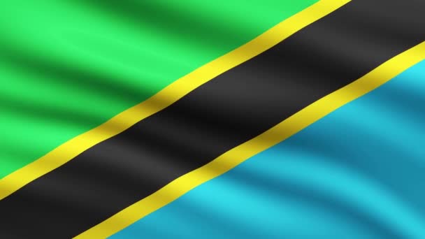 Tanzania Flaga Waving Animation Tło Animowana Flaga Tanzania Pełny Ekran — Wideo stockowe