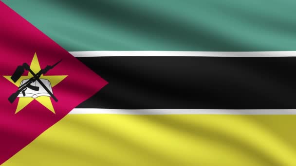 Mosambik Flagge Schwenken Animation Hintergrund Vollbild Animierte Flagge Von Mosambik — Stockvideo