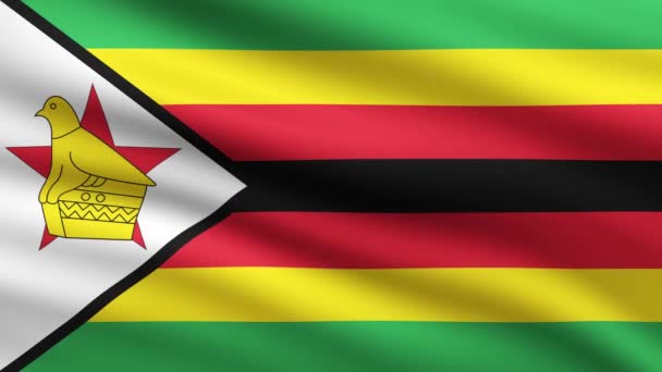 津巴布韦国旗飘扬动画背景风中的津巴布韦国旗全屏动画背景 — 图库视频影像