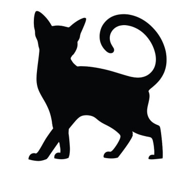 Beyaz arkaplanda Habeş kedisi vektör çizimi.