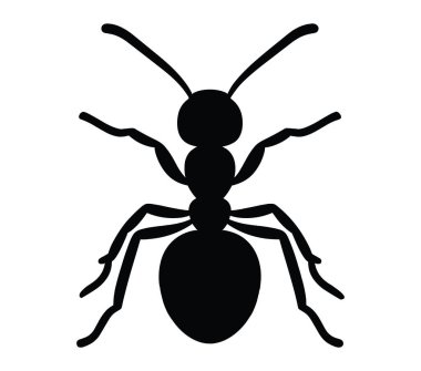 Beyaz arkaplanda Acacia Karınca vektör çizimi.