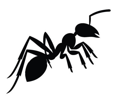 Acacia Ant 'ın vektör, izole edilmiş silueti.