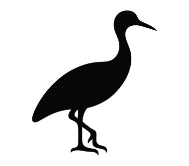 Beyaz arkaplanda Afrika Finfoot vektör illüstrasyonu.