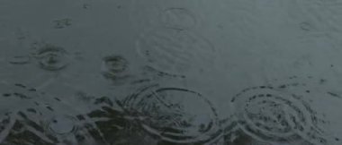 Temiz gölet suyuna doğal yağmur damlaları, karanlık ve geniş sinematik çevre