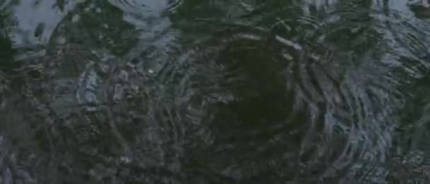Detailní Záběr Přírodních Kapek Deště Vodní Nádrž Tmavé Široké Kinematografické — Stock video
