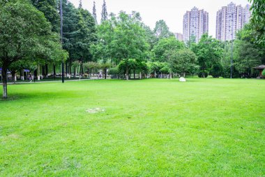 Baharda parkta çimenlik