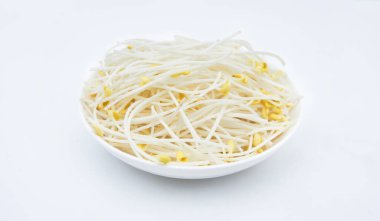 fasulye filizi plaka üzerinde