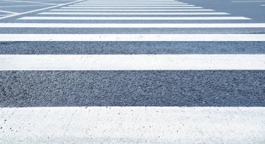 Beyaz zebra asfalt yoldan geçiyor.