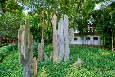 Parkın yapay taş kayalık arazisi