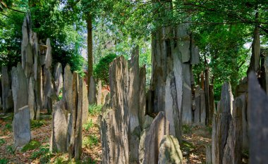 Parkın yapay taş kayalık arazisi
