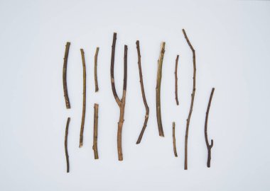 Beyaz arkaplan üzerinde kuru dallar, düz bir üst yatıyordu