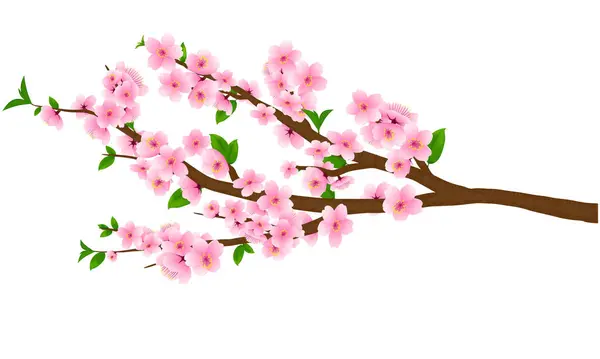 咲く桃の花が咲く枝のベクトルイラスト — ストックベクタ