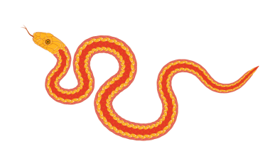 Basit bir çizgi film yılan deseni.