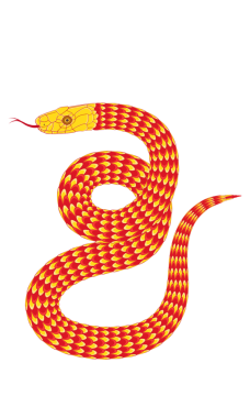 soyut turuncu çizgi film yılan deseni