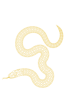 Altın çizgili çizgi yılan deseni