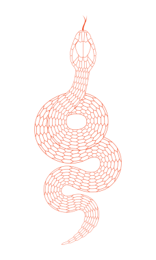 kırmızı çizgili çizgi yılan deseni