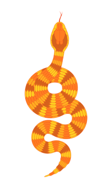 soyut turuncu çizgi film yılan deseni