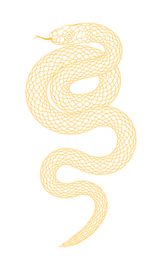 Altın çizgili çizgi yılan deseni