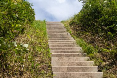 Yeşil bir alanda merdivenler Parlak bir gökyüzüne çıkıyor