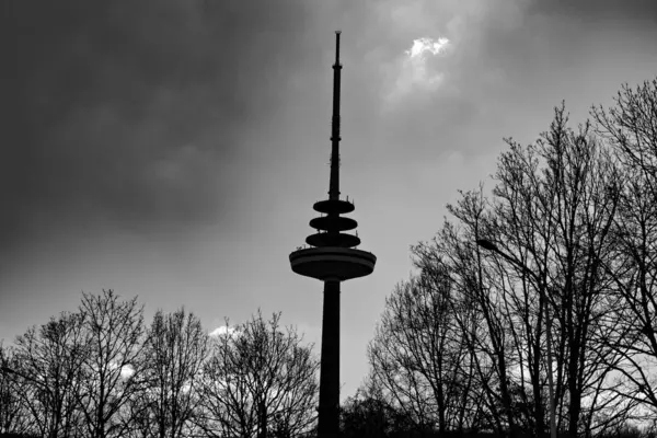 Bir Avrupa şehrinin ağaçlarının arkasında uzun bir televizyon kulesi görünür..