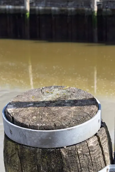 Kuzey Denizi 'nin alçak sularında tekneleri metal kenarlı yeşil çamurla arta kalan sulara bağlamak için bir kütük.
