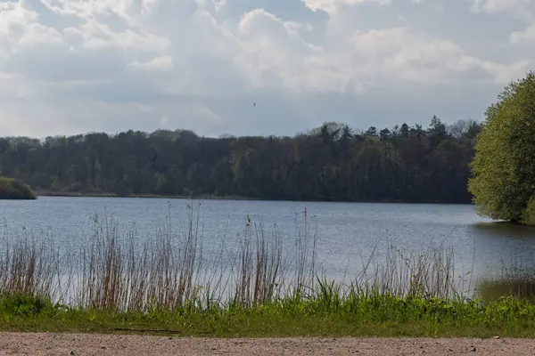 Kuzey Almanya 'da muhteşem bitki örtüsü olan bir göl. Çim ağaçları, yeşil gökyüzü ve kalın bulutlar.