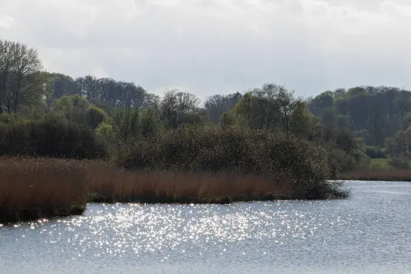 Kuzey Almanya 'da muhteşem bitki örtüsü olan bir göl. Çim ağaçları, yeşil gökyüzü ve kalın bulutlar.