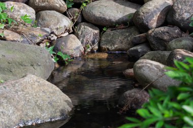 Kayaların ve Asya tarzı otların ortasındaki şelaleye benzeyen küçük bir dere.