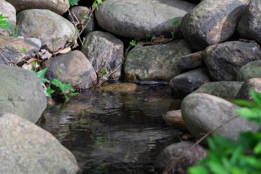 Kayaların ve Asya tarzı otların ortasındaki şelaleye benzeyen küçük bir dere.