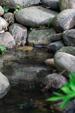 Kayaların ve Asya tarzı otların ortasındaki şelaleye benzeyen küçük bir dere.