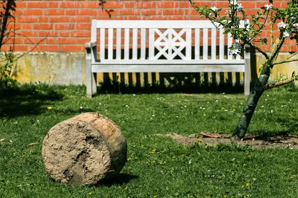 Turuncu tuğladan bir duvara karşı beyaz bir ahşap bank ön planda kesik bir kütükle çimenlikte duruyor.