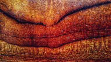 Ahşap doku. arka plandaki eski tahta paneller. eski ahşap yüzey