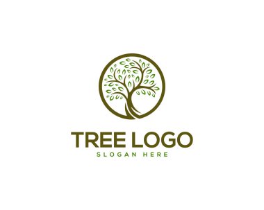 Doğal ağaç logosu tasarımı modern vektör şablonu.