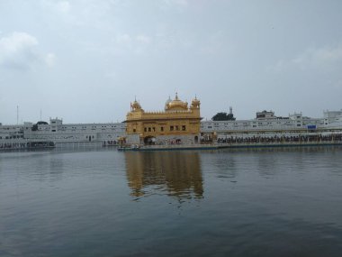 Sikh gurdwara Altın Tapınağı (Harmandir Sahib). Sikihizm 'in kutsal yeri. Amritsar, Punjab, Hindistan. Altın Tapınak Amritsar.