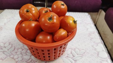 Domatesler, sepetteki güzel domatesler. Seçici odaklanma. Taze ve Organik Domates.