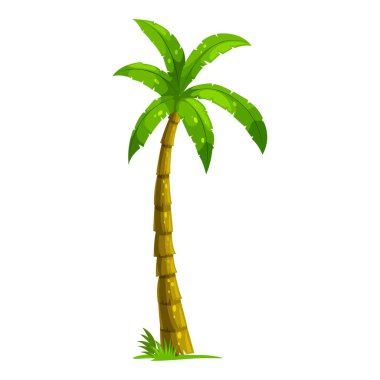 Beyaz arka planda çizgi film Palmiye Ağacı. Tropik bitkiler, yaz için dekorasyon, plaj. Vektör ögeleri.