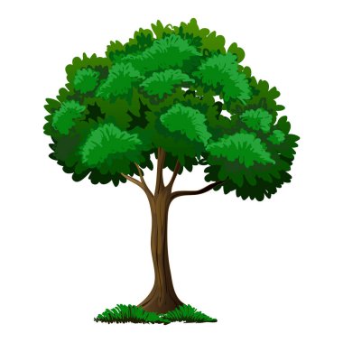 Gerçekçi Ağaç Resimleri ve Çevre dostu Tasarım. Beyaz arkaplanı olan bir ağaç tasviri. Vektör İllüstrasyonu.