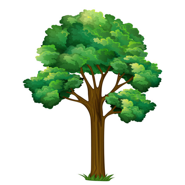 A majestic green tree stands tall. Nature's beauty. Vector Tree. 