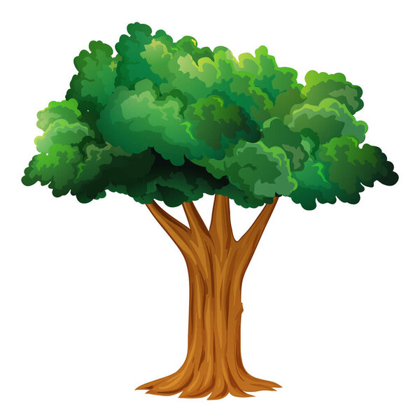 Tree. Fresh Air. Nature and Forest Sign. Vector and Illustration. Tree on white background.