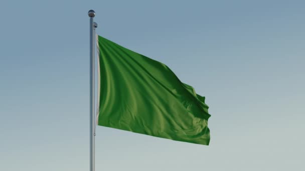 Grüne Flagge Cinematic Loopable Motion Mit Blauem Himmel Prores 422 — Stockvideo