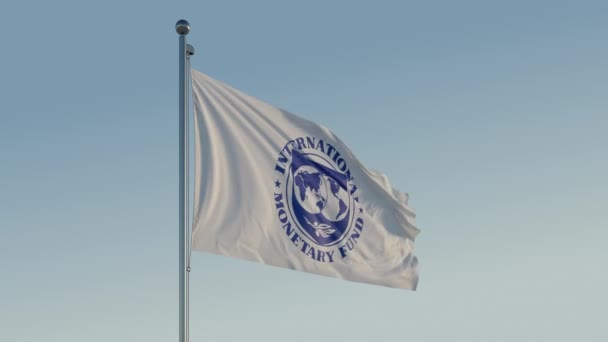 Imf Flag Cinematic Loopable Motion Blue Sky Prores 422 — Stok Video