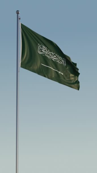 Arab Saudi Riyadh Bendera Vertikal Cinematic Loop Realistik Langit Biru — Stok Video
