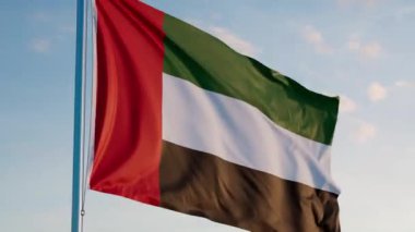 BAE Birleşik Arap Emirlikleri Abu Dabi Dubai Bayrağı Sönük Sinematik Karanlık Gerçekçi