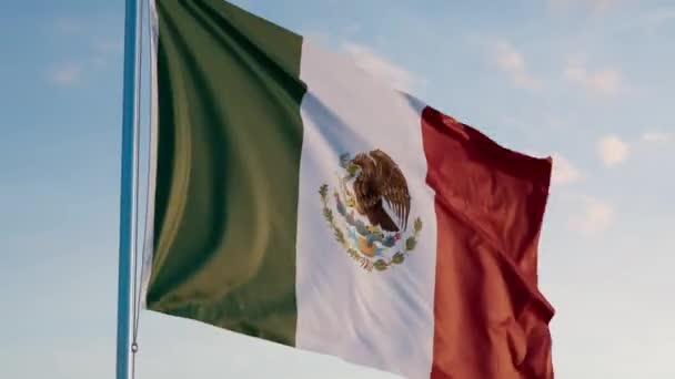 Σημαία Πόλη Του Μεξικού Κινηματογραφική Ρεαλιστική Κουνώντας Zoom Dolly Out — Αρχείο Βίντεο