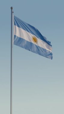 Arjantin Buenos Aires Dikey Sinema Gerçekçi Dalgalanan Zoom Döngüsü