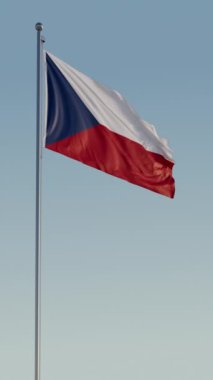 Çek Cumhuriyeti Prag Bayrağı Dikey Sinema Gerçekçi Dalgalanan Zoom Döngüsü
