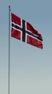 Norveç Oslo Bayrağı Dikey Sinema Gerçekçi Dalgalanan Zoom Döngüsü