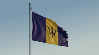 Barbados Bridgetown Bayrak Döngüsü Sinematik Gerçekçi Dalgalanan Mavi Gökyüzü