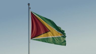 Guyana Georgetown Bayrak Döngüsü Sinematik Gerçekçi Dalgalanan Mavi Gökyüzü