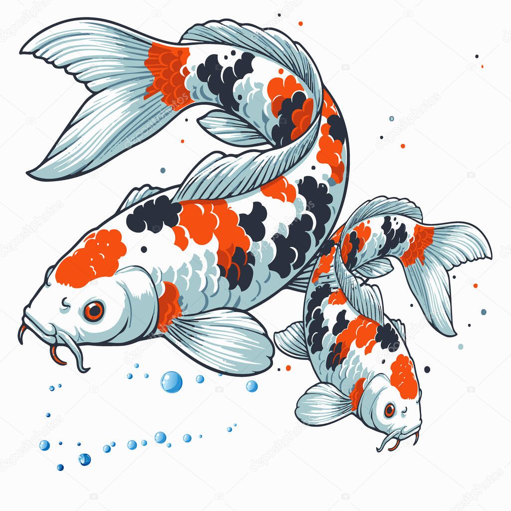 Koi illustration vector, Koi fish background illustration fish clip art